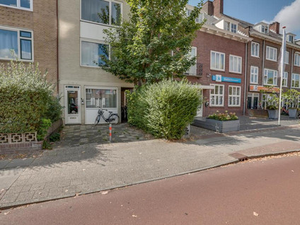 Amsterdamsestraatweg 494