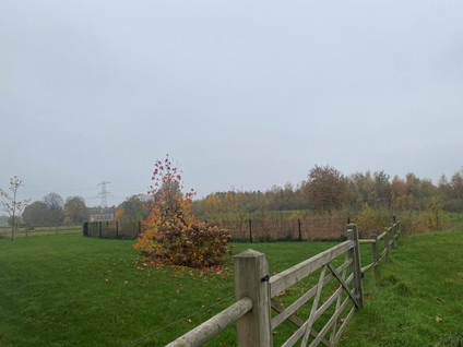 Polderweg 3