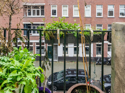 Willem Beukelszstraat 36