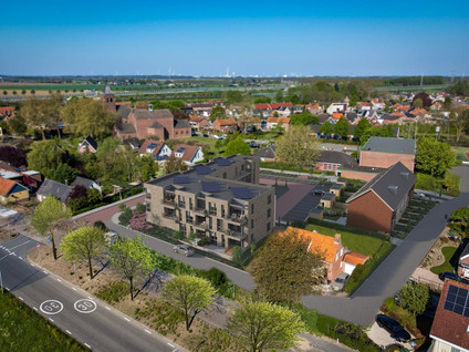 De Huiszwaluw 