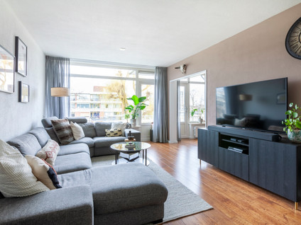 Dronensingel 65