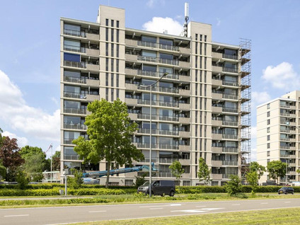 Grote Spie 247
