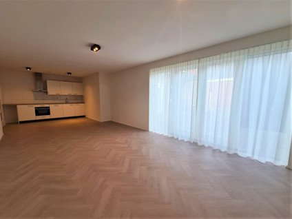 De Baan 4D