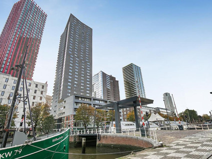 Wijnbrugstraat 335