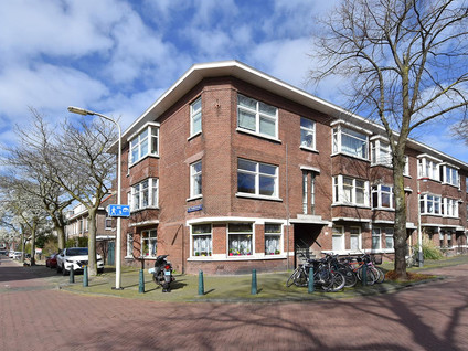 Linnaeusstraat 263