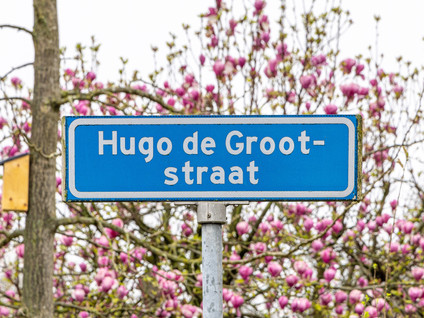 Hugo de Grootstraat 9