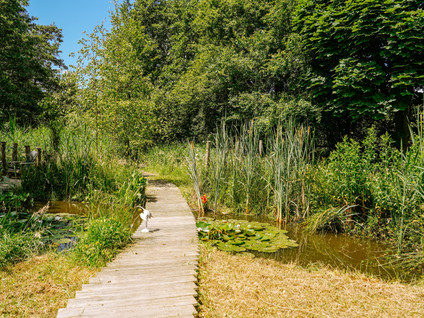 Diefdijk 10