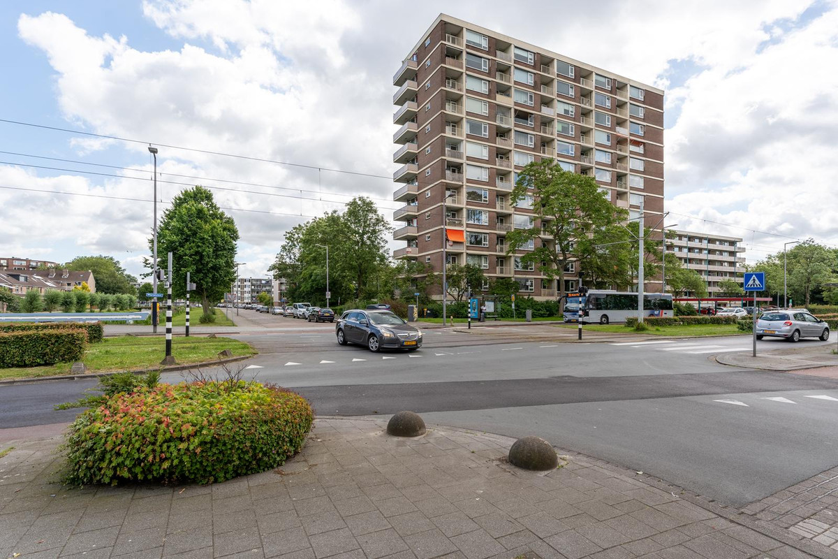 Wilgenplaslaan 290