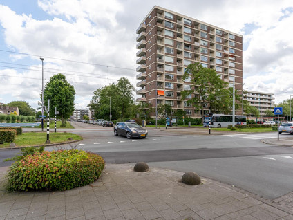 Wilgenplaslaan 290