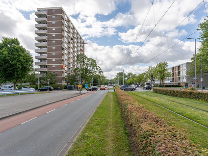 Wilgenplaslaan 290