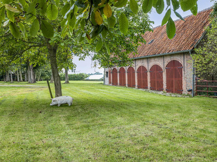 Steenhovensedijk 17