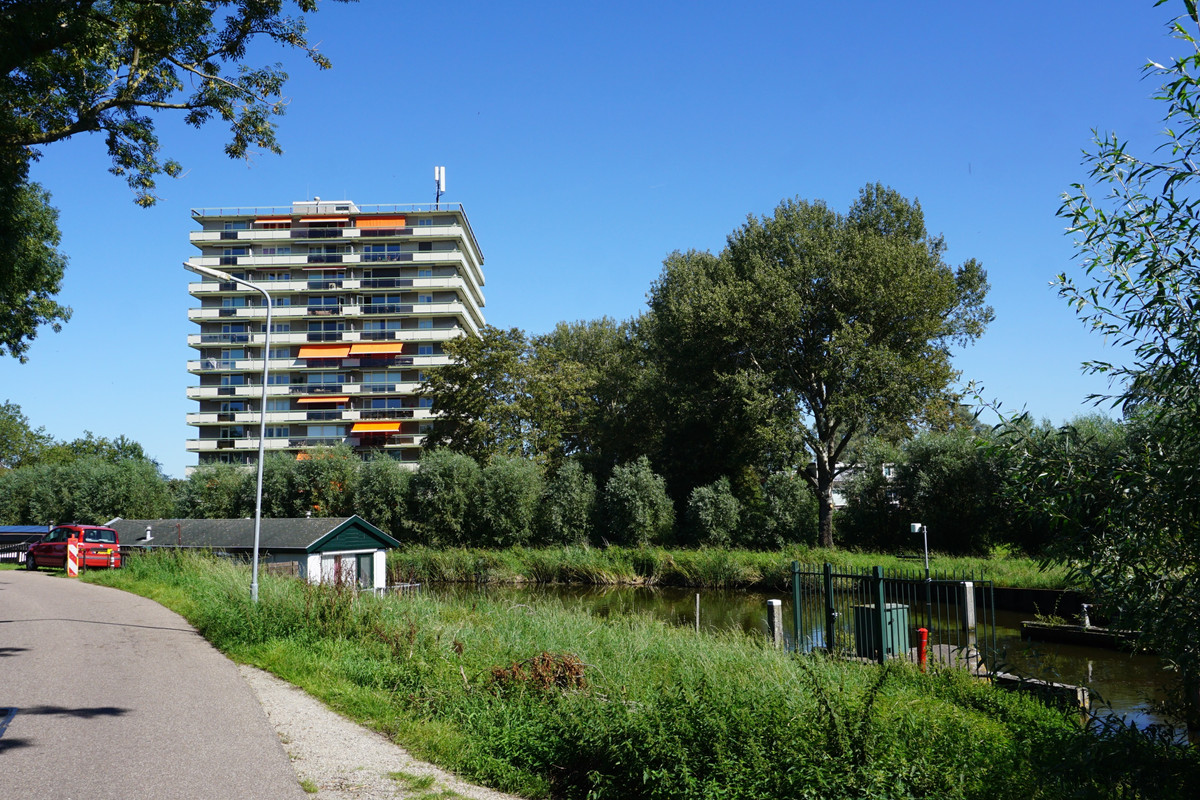 Suze Groenewegstraat 219