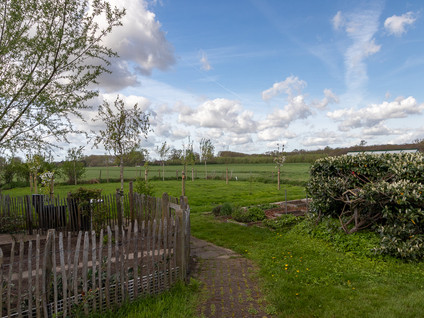 Boekweitstraat 24