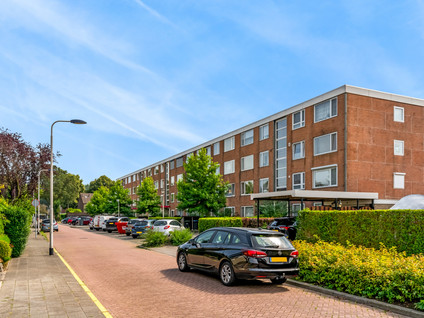 Ravelijnstraat 99