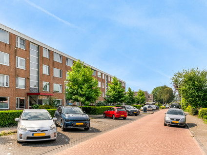 Ravelijnstraat 99