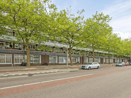 Ruys de Beerenbrouckstraat 31