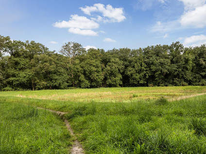 Landschaplaan 99