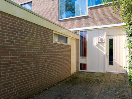 Couwenhoven 6138