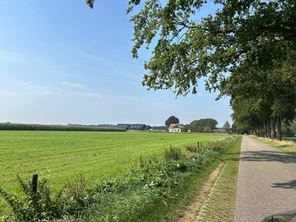 Steunenbergerweg 