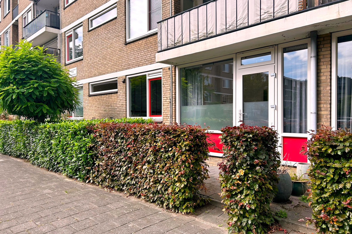 Wieldraaierstraat 33