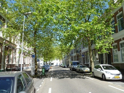 Frans Halsstraat 3B