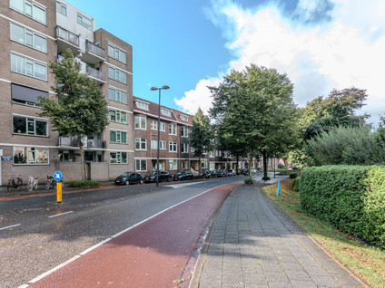 Schiedamseweg 236