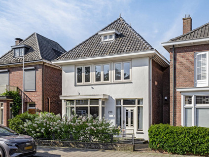 Brinkstraat 210