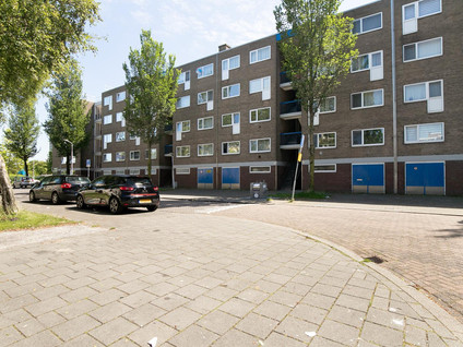 Linnaeusstraat 206