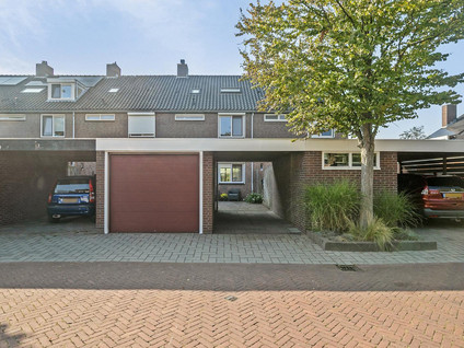 Vuurdoorn 43