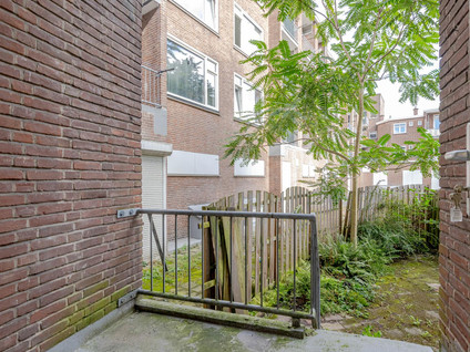 Buizerdstraat 15A