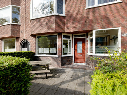 Star Numanstraat 46