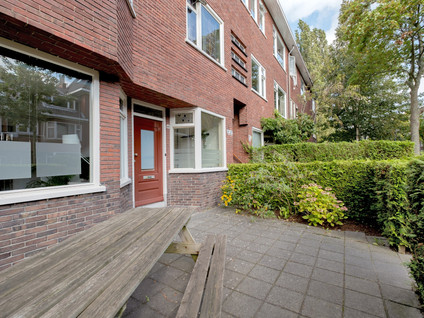 Star Numanstraat 46