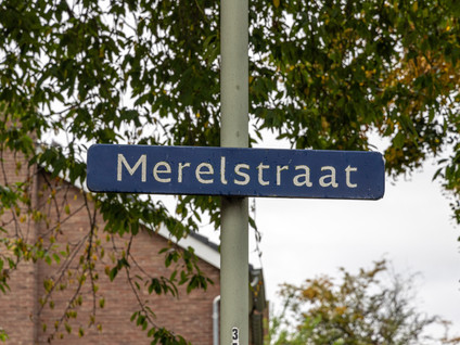 Merelstraat 44