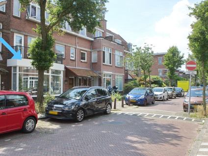 Tulpstraat 154