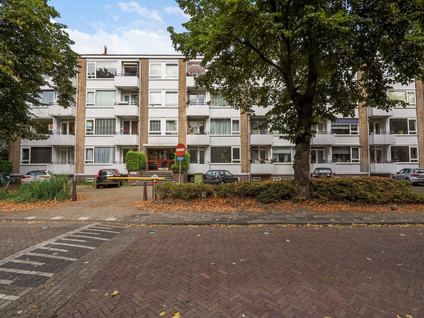 Tulpstraat 5B