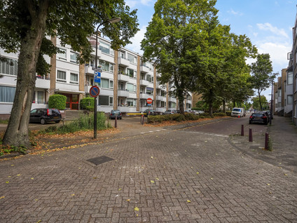 Tulpstraat 5B