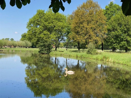 Langbroekerdijk 10