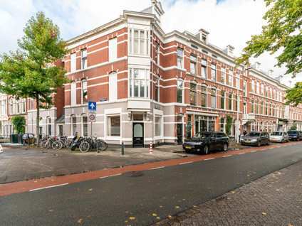 Newtonstraat 297