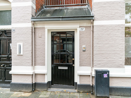 Newtonstraat 297