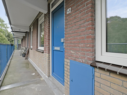 Fluitekruidweg 58