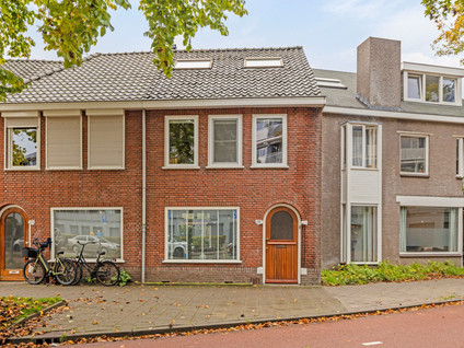 Boomstraat 228