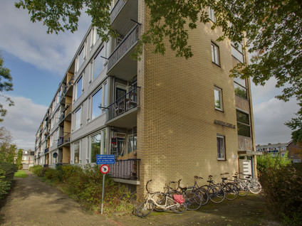 Perkstraat 35