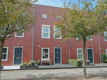 D. Schellincxstraat 6