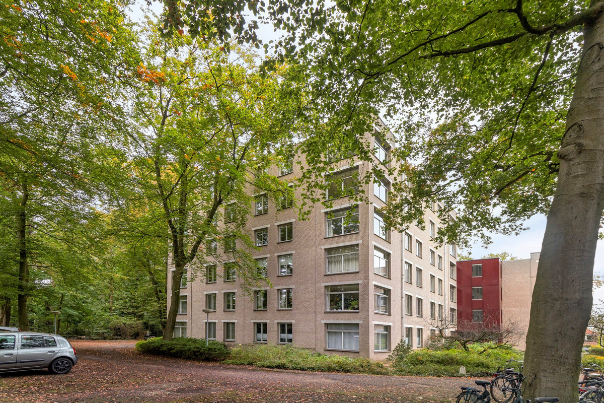 Oude Graafseweg 253