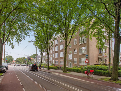 Goudenregenstraat 305