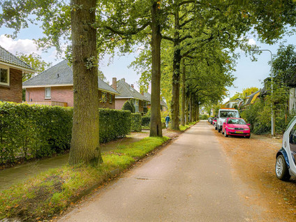 Bosstraat 54