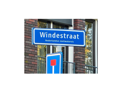 Windestraat 21