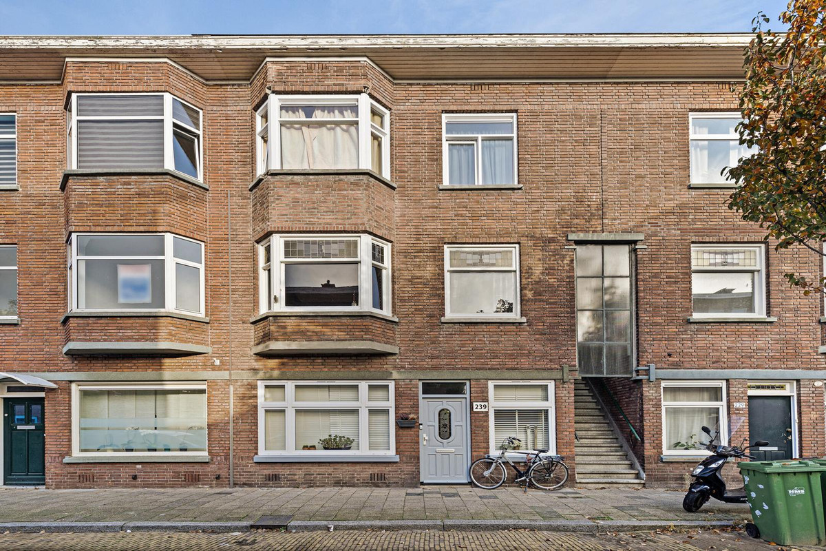 Jan ten Brinkstraat 237