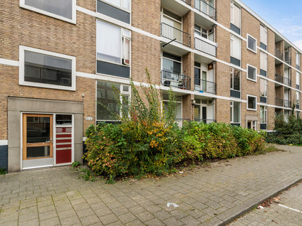 Plotinusstraat 43