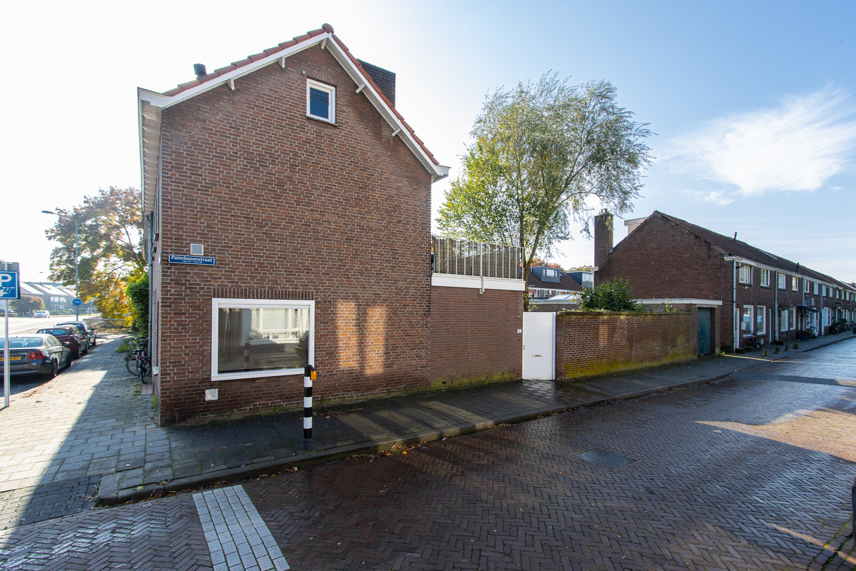 Palmboomstraat 53A